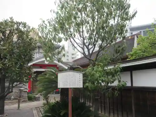 海徳寺(東京都)