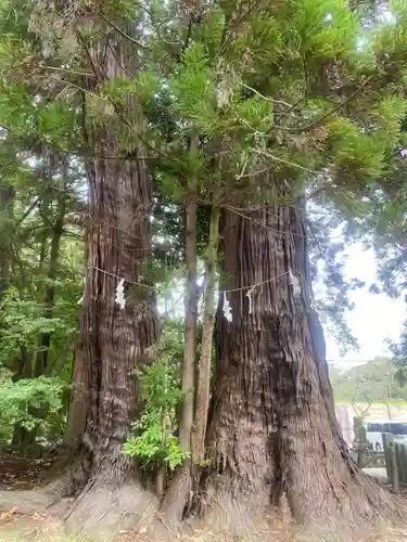 相馬中村神社(福島県)