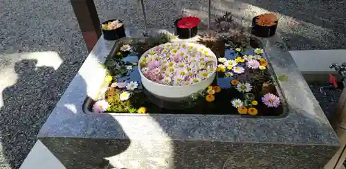 福母八幡宮(佐賀県)