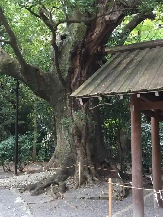 月夜見宮(豊受大神宮別宮)の自然