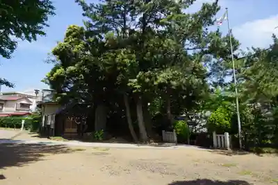 登渡神社のその他建物