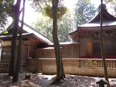 諏訪八幡神社の本殿・本堂