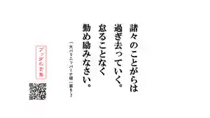 信行寺(福岡県)(2020年06月02日(火) 13時05分00秒投稿)