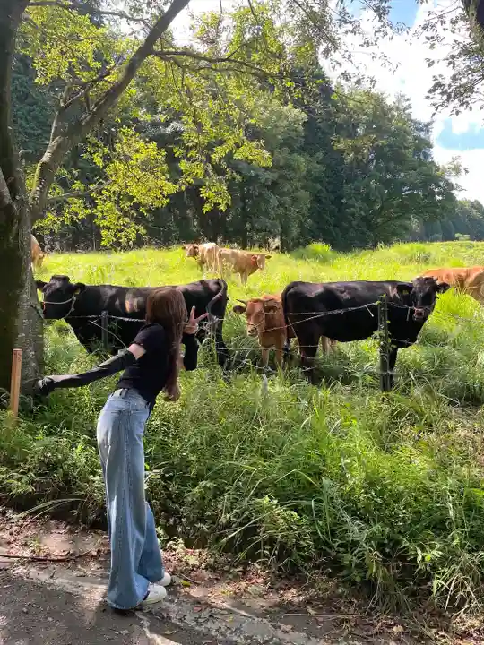 乙姫子安河原観音(熊本県)