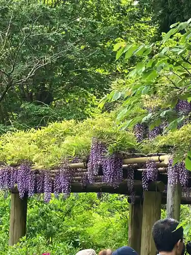 春日大社(奈良県)