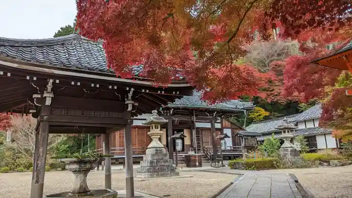 善峯寺(京都府)