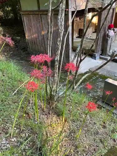 清水寺(千葉県)