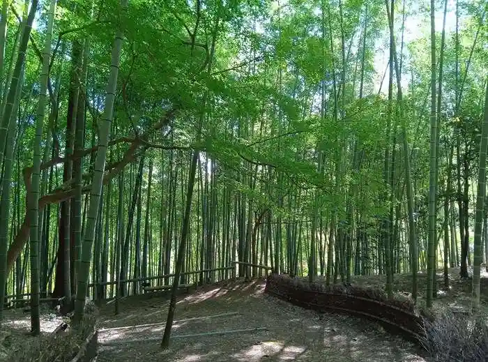 八王寺(埼玉県)