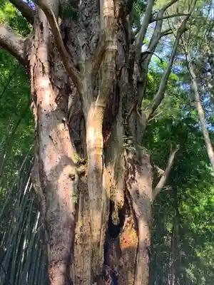 揚源寺(栃木県)