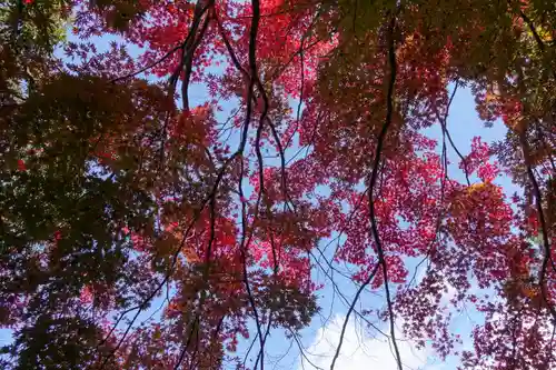 笠置寺の景色