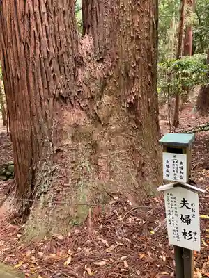 若狭彦神社（上社）(福井県)