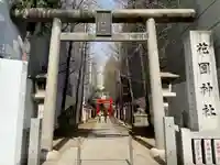 花園神社(東京都)