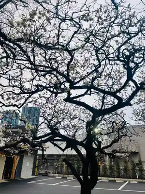 居木神社(東京都)