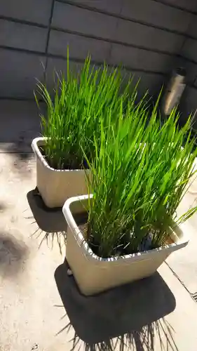 富岡八幡宮のその他建物