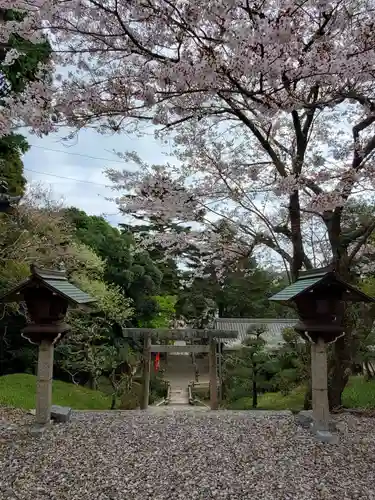 百々神社の鳥居