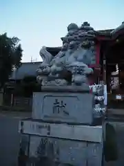 鷺宮八幡神社の狛犬