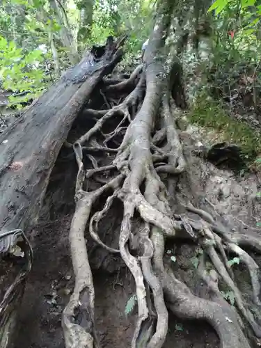 三佛寺(鳥取県)