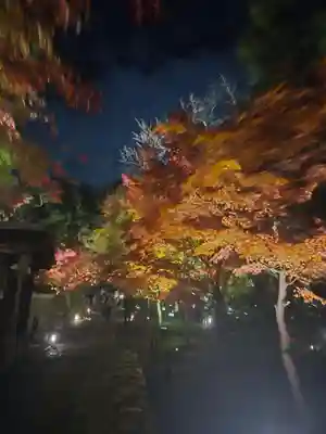 高台寺（高台寿聖禅寺・高臺寺）(京都府)