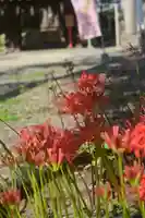 磐井神社(東京都)