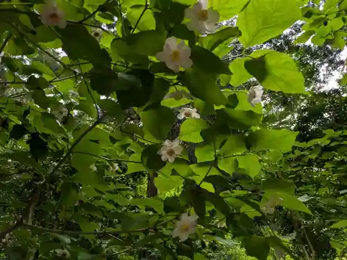 沙沙貴神社(滋賀県)