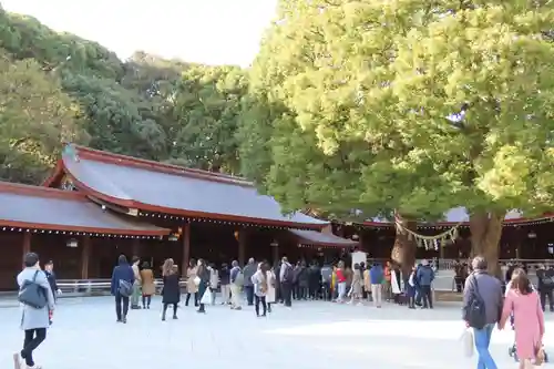 明治神宮(東京都)