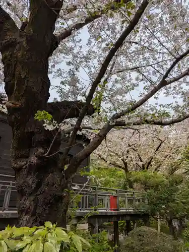 乃木神社(東京都)