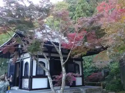 長谷寺のその他建物