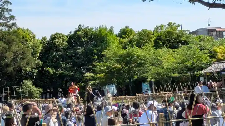 賀茂別雷神社(上賀茂神社)(京都府)