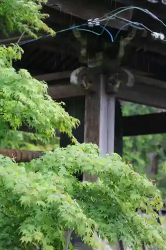 丹生大師 神宮寺の建物その他