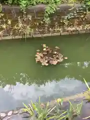 市原稲荷神社の庭園