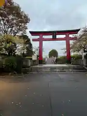 亀戸天神社(東京都)