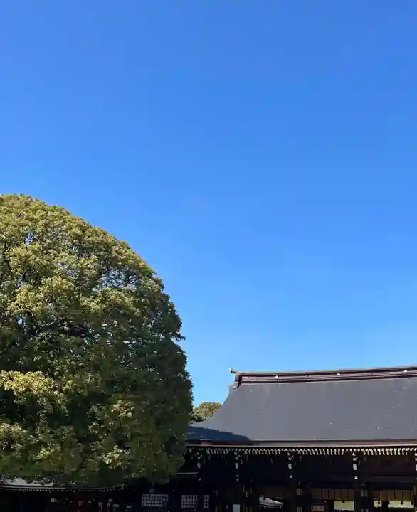 明治神宮(東京都)