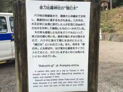 金刀比羅神社(佐賀県)