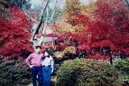 勝持寺（花の寺）の庭園