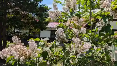 多賀神社の自然