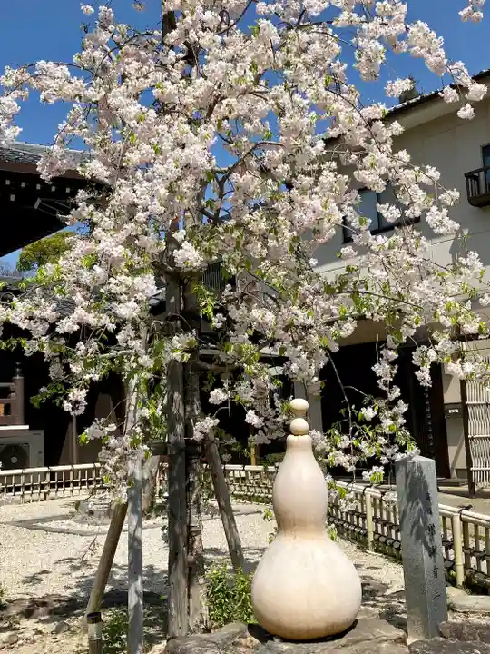 太閤山常泉寺の自然