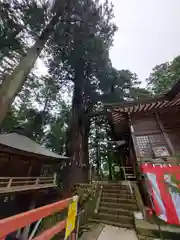 鷲子山上神社の自然