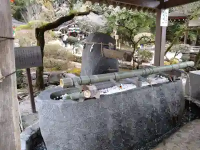 賀茂別雷神社（上賀茂神社）(京都府)