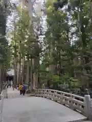 高野山金剛峯寺奥の院(和歌山県)