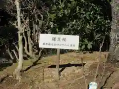 浄妙寺の建物その他