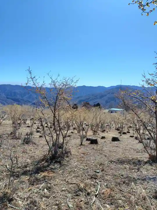 宝登山神社奥宮(埼玉県)