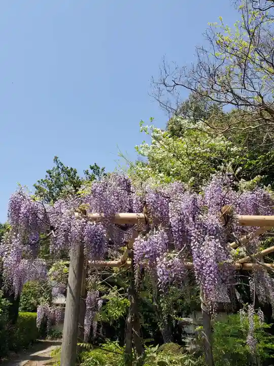 神炊館神社 ⁂奥州須賀川総鎮守⁂(福島県)