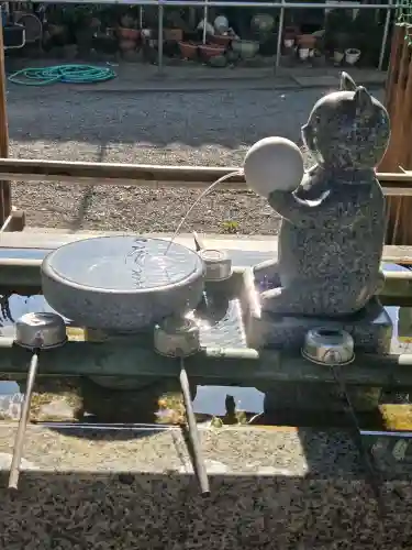 荻窪白山神社の{uncategorized: "未分類", other: "その他", undefined: "問題あり", building: "その他建物", grave: "お墓", sacred_gate: "鳥居", guardian: "狛犬", statue: "像", buddha: "仏像", history: "歴史", nature: "自然", garden: "庭園", animal: "動物", pagoda: "塔", temizu: "手水舎", mountain_gate: "山門・神門", sanctuary: "本殿・本堂", subordinate: "末社・摂社", art: "芸術", scenery: "景色", jizo: "地蔵", ema: "絵馬", goshuin: "御朱印", omikuji: "おみくじ", items: "授与品その他", amulet: "お守り", goshuincho: "御朱印帳", eats: "食事", festival: "お祭り", votive_dance: "神楽", shichigosan: "七五三参", wedding: "結婚式", experience: "体験その他", initially: "初詣", around: "周辺", anti_infection: "感染症対策"}