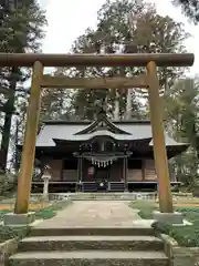 大井神社の鳥居