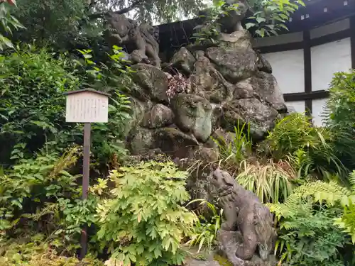 玉川神社の狛犬