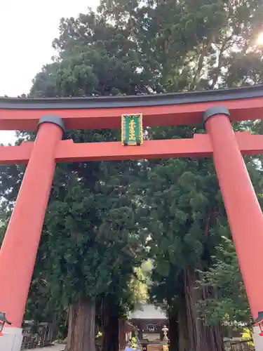 河口浅間神社の鳥居