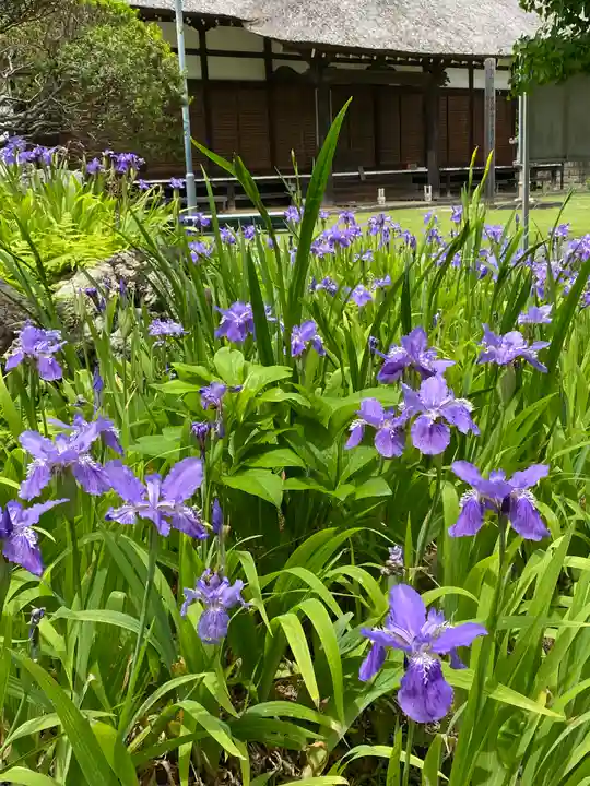 横浜 西方寺(神奈川県)