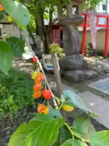 秩父札所十三番 慈眼寺(埼玉県)(2026年05月19日(火) 14時39分38秒投稿)