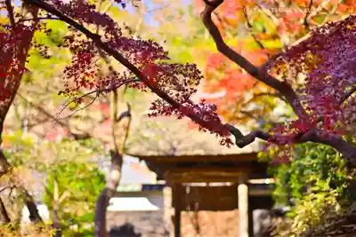 円覚寺(神奈川県)