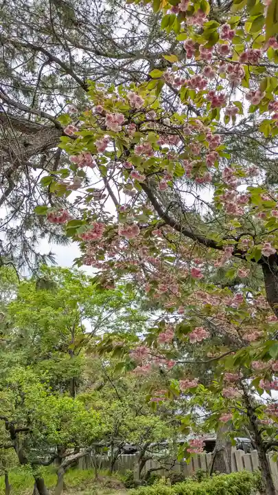 道明寺天満宮(大阪府)
